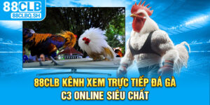 Kênh Xem Trực Tiếp Đá Gà C3 Online Siêu Chất  Đỉnh Cao 2025