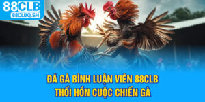 Đá Gà Bình Luận Viên 88CLB Thổi Hồn Cuộc Chiến Gà