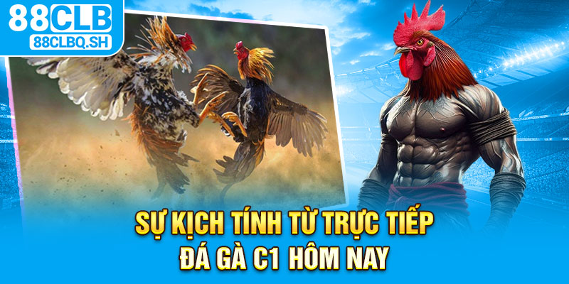 Sự kịch tính từ trực tiếp đá gà C1 hôm nay