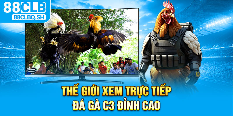 Thế giới xem trực tiếp đá gà C3 đỉnh cao