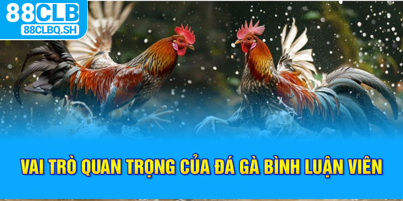 Vai trò quan trọng của đá gà bình luận viên