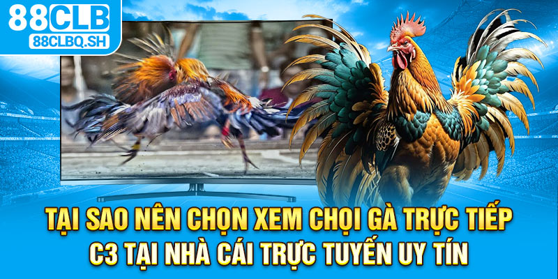 Tại sao nên chọn xem chọi gà trực tiếp C3 tại nhà cái trực tuyến uy tín