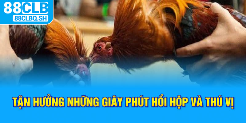 Tận hưởng những giây phút hồi hộp và thú vị