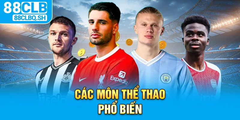 Các Môn Thể Thao Phổ Biến