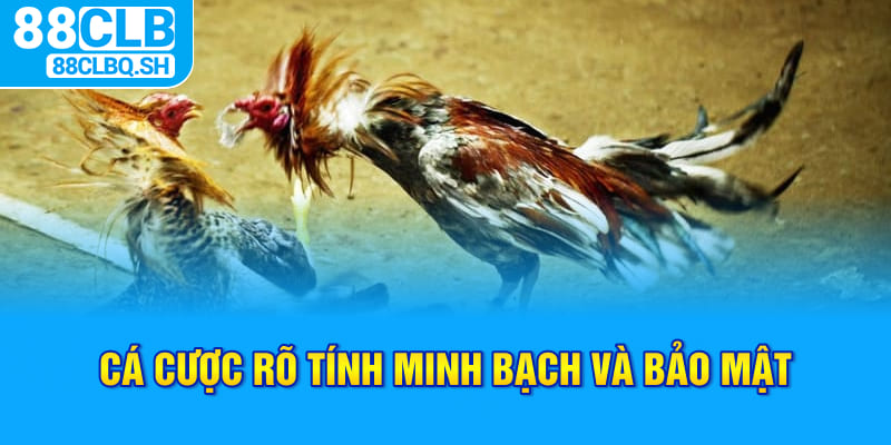 Cá cược rõ tính minh bạch và bảo mật