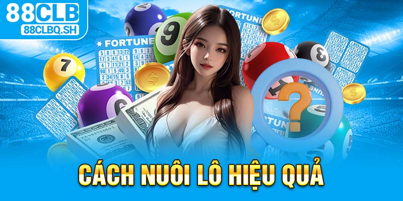 Cách Nuôi Lô Hiệu Quả